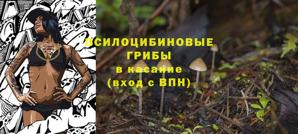 крисы Рославль