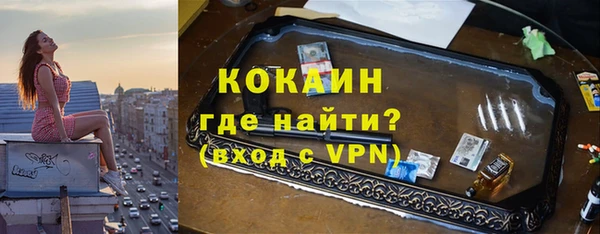 бошки Алексин