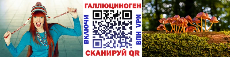 где купить наркоту  Саянск  Псилоцибиновые грибы MAGIC MUSHROOMS 