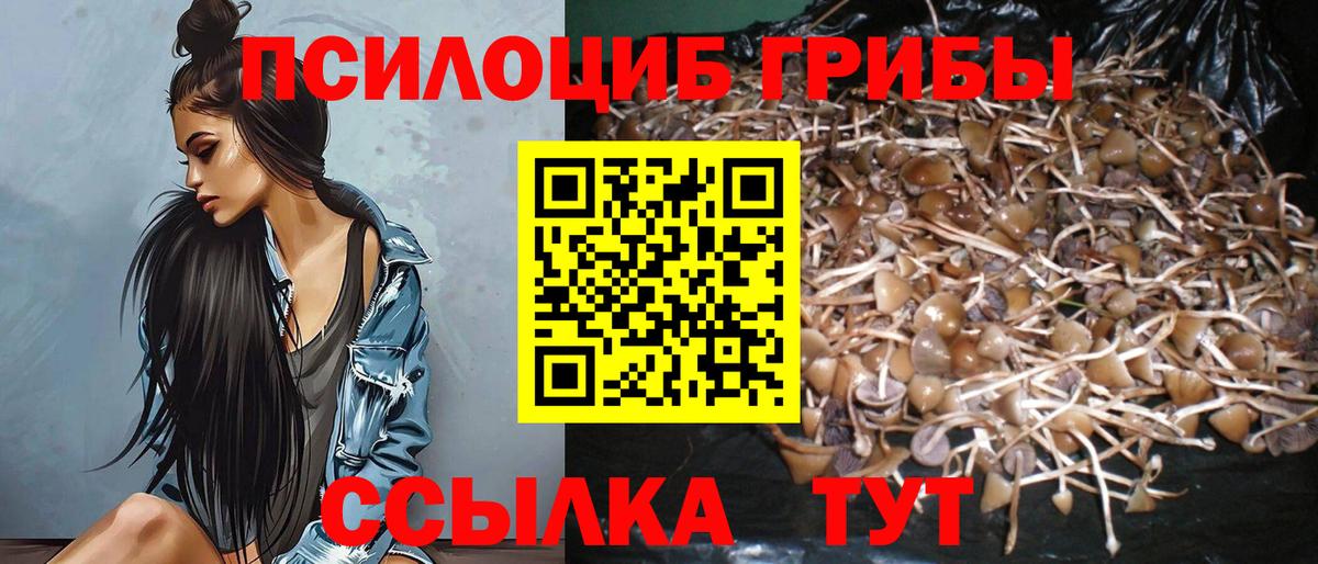 Галлюциногенные грибы мицелий  Вход с VPN  Саянск 