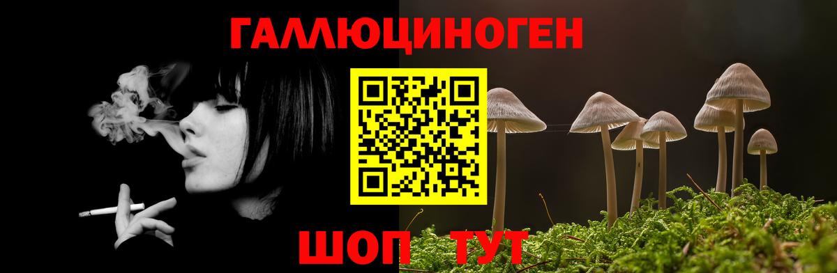 Галлюциногенные грибы мицелий Саянск